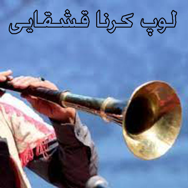 لوپ کرنا ترکی قشقایی pa2x